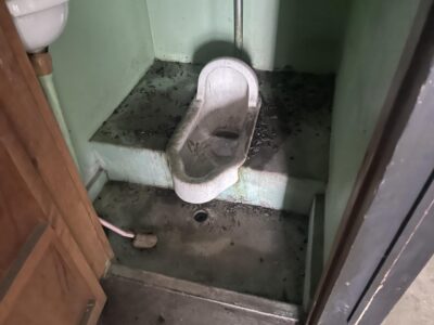 image1.jpeg